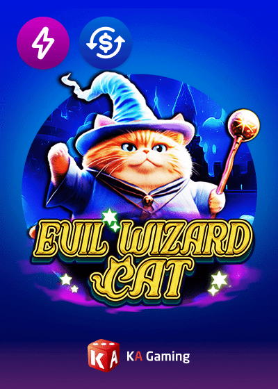 Evil Wizard Cat